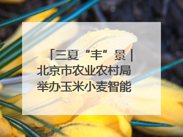 三夏“丰”景｜北京市农业农村局举办玉米小麦智能农机装备推广“田间日”活动
